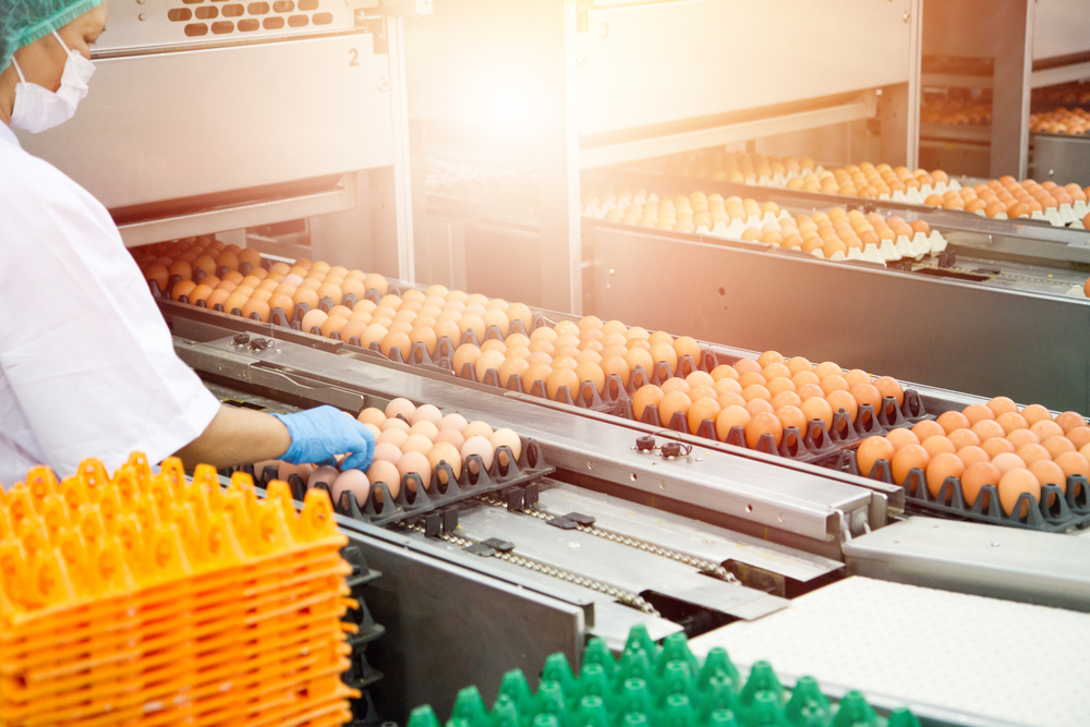 food safety for food manufacturers